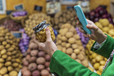 Woman using smartphone app to check a preserving jar - DLTSF00534