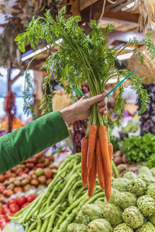 Hand holding buch of organic carrots in shop - DLTSF00535