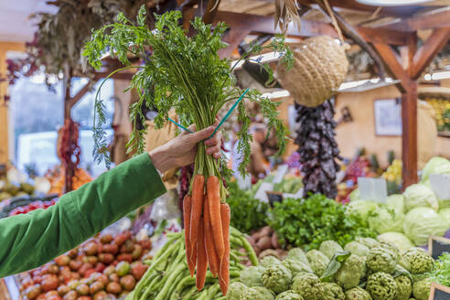 Hand holding buch of organic carrots in shop - DLTSF00536