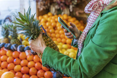 Frau nutzt Smartphone-App zur Kontrolle einer Ananas - DLTSF00537