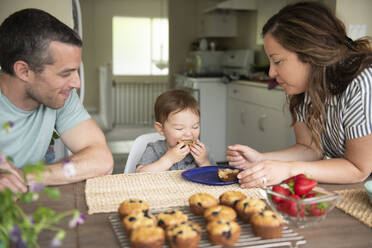 Young family eating fresh muffins in kitchen - CAIF23798