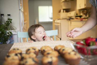 Cute toddler girl eating strawberry - CAIF23804