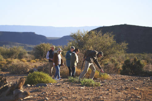 Safari-Reiseleiter erklärt einer Gruppe Pflanzen in Südafrika - CAIF23952