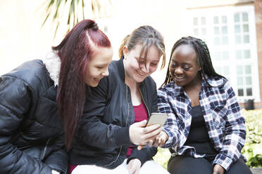 Junge Frauen, die ein Smartphone benutzen - CAIF24098