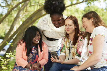 Female friends using smart phone in park - CAIF24137