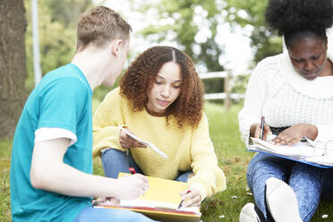 College students studying in park - CAIF24146