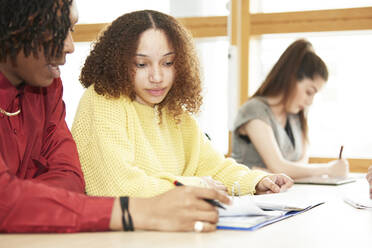 Fokussierte Studenten lernen gemeinsam im Klassenzimmer - CAIF24147
