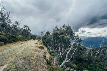 Mann, der entlang eines Bergkamms spaziert Alpine National Park Australien - CAIF24209