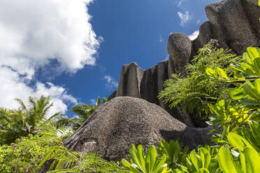 Seychellen, La Digue, Tiefblick auf Granitfelsen an der Anse Source dArgent - MABF00551