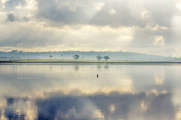 Wintermorgen im Mission Bay Park, San Diego, CA. - CAVF74843