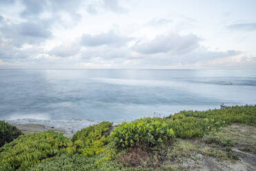 Wintermorgen an der Küste, La Jolla, CA. - CAVF74847