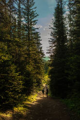 Vater und Sohn wandern auf einem Pfad mit Angelausrüstung in den kanadischen Rockies - CAVF74851