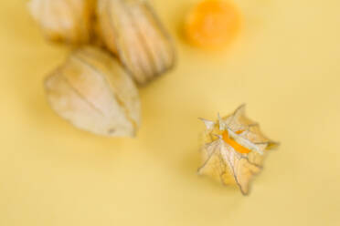 Physalis oder Kapstachelbeere auf gelbem Hintergrund - CAVF74866