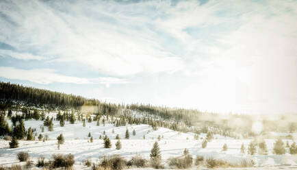 Weitwinkel mit Sonnenflecken über einem sanften Hang mit Schnee und Bäumen - CAVF74962