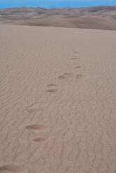 Footsteps in the sand dunes - CAVF74966