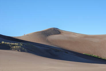 A walk on the sand dunes - CAVF74974