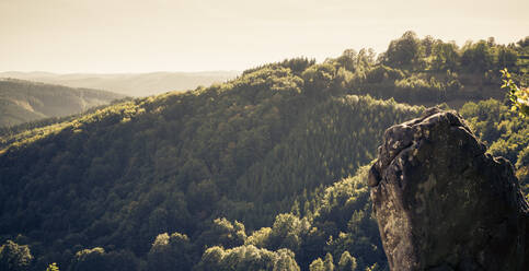 Blick auf den Wald von der Spitze des Felsens in Vsetin, Tschechische Republik - CAVF74978