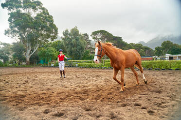 Junge Frau trainiert Pferd in ländlicher, unbefestigter Koppel - CAIF24275