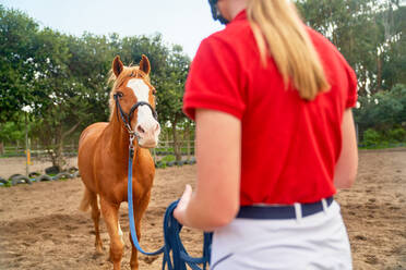 Teenage girl training horse in paddock - CAIF24286