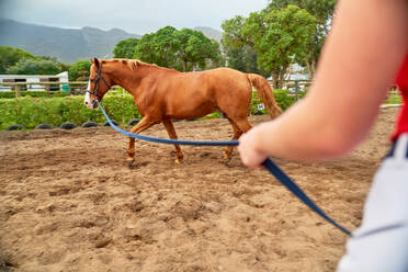 Pferdetraining auf einer unbefestigten Koppel - CAIF24326