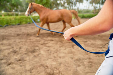 Pferdetraining auf einer ländlichen Koppel - CAIF24334
