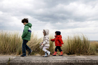 Siblings exploring beach - ISF23788