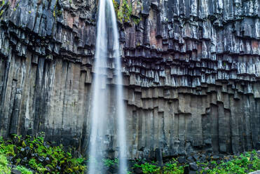 Svartifoss-Wasserfall, Skaftafell-Nationalpark, Island - ISF23833