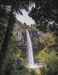Bridal Veil Falls auf der Nordinsel Neuseelands. - CAVF74991