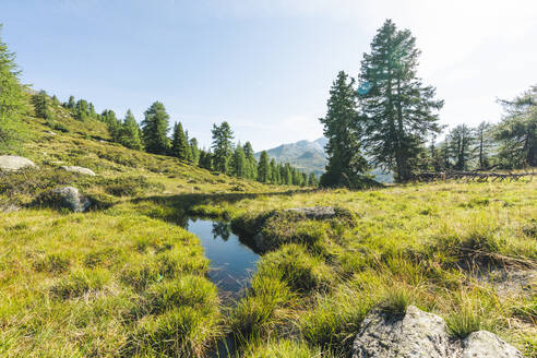 Teich, Alpen, Graubünden, Schweiz - HBIF00041