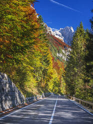 Slovenia, Empty highway in Triglav National Park - HAMF00585