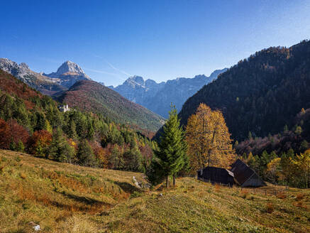 Slowenien, Blick auf das herbstliche Tal im Triglav-Nationalpark - HAMF00586