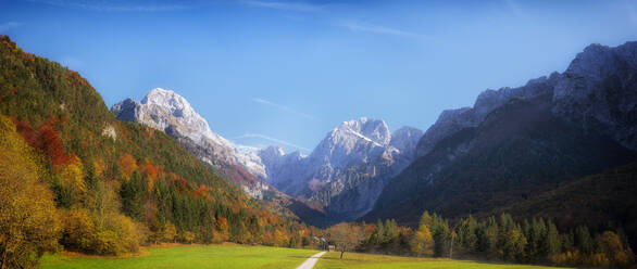 Slowenien, Blick auf das herbstliche Tal im Triglav-Nationalpark - HAMF00589