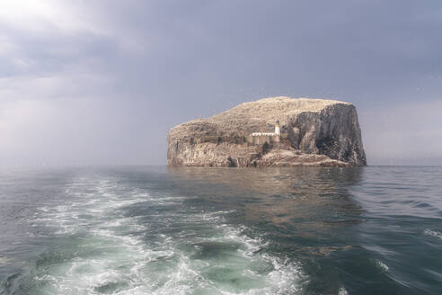 UK, Schottland, North Berwick, Insel Bass Rock - SMAF01848