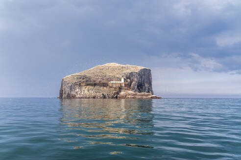 UK, Schottland, North Berwick, Insel Bass Rock - SMAF01849