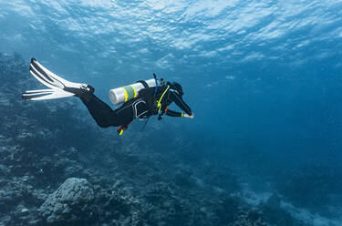 Scuba diver exploring the great barrier reef in Australia - CAVF75144