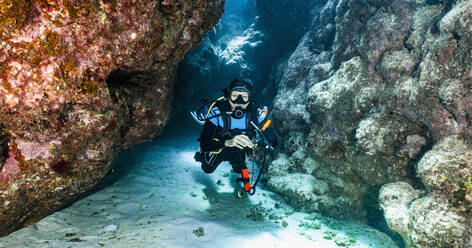 Scuba diver exploring a canyon at the great barrier reef in Australia - CAVF75146