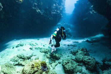 Scuba diver exploring a canyon at the great barrier reef in Australia - CAVF75148