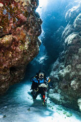 Scuba diver exploring a canyon at the great barrier reef in Australia - CAVF75152