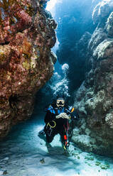 Scuba diver exploring a canyon at the great barrier reef in Australia - CAVF75153