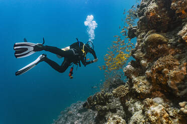Taucher bei der Erkundung des Great Barrier Reefs in Australien - CAVF75160