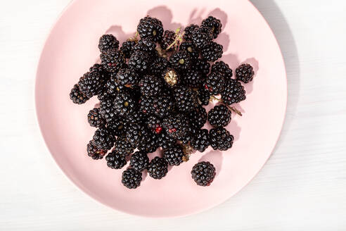 Frische wilde Brombeeren in einem Teller auf weißem Holzhintergrund. Essbare wilde Früchte - CAVF75216