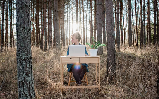 Woman travelling working on a desk and laptop in a forest at sunset - CAVF75347