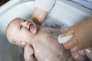 Mother bathing her baby boy in a tub - LJF01360