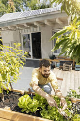 Young man growing vegetables on his rooftop terrace - PESF01796