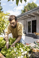 Young man growing vegetables on his rooftop terrace - PESF01797