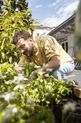 Junger Mann baut Gemüse auf seiner Dachterrasse an - PESF01798
