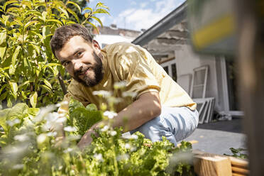 Junger Mann baut Gemüse auf seiner Dachterrasse an - PESF01799