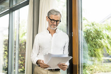 Senior man with grey hair in modern design living room standing at window reading papers in home office - SBOF02119