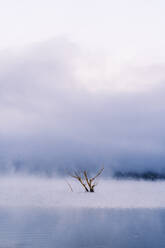 Riano reservoir in the morning, Leon, Spain - DGOF00452