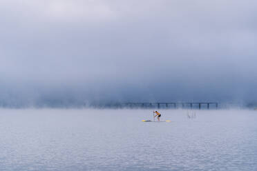 Mann beim Stand Up Paddle Surfing auf einem See im Nebel - DGOF00454